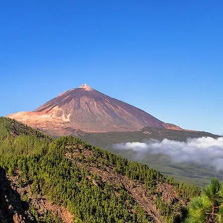 Apartamento Kactus House La Laguna Dom wakacyjny La Laguna (Tenerife)
